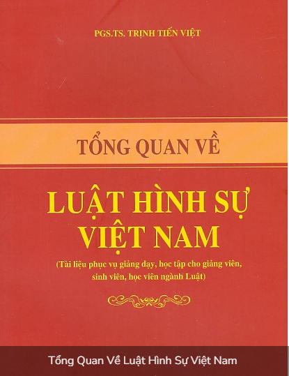 Tổng quan về luật hình sự Việt Nam